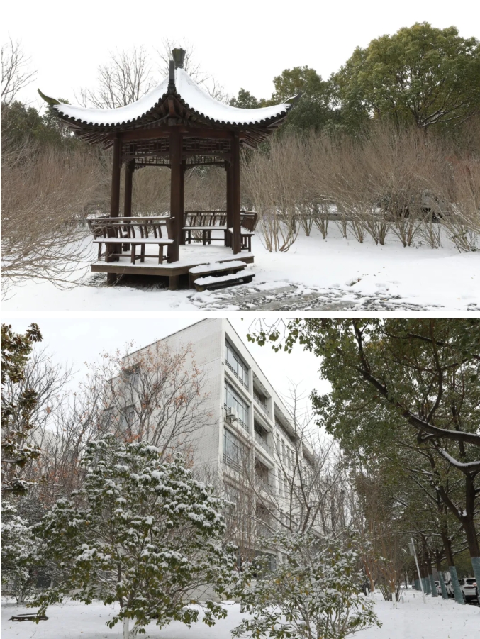 1768964724760345.png 臻美盐幼 当盐幼遇上初雪4.png