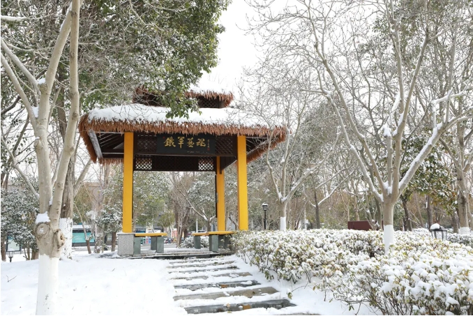 1768964741618087.png 臻美盐幼 当盐幼遇上初雪7.png