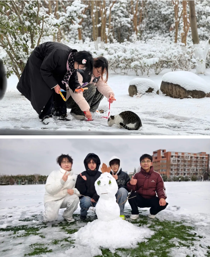 1768964752543704.png 臻美盐幼 当盐幼遇上初雪9.png