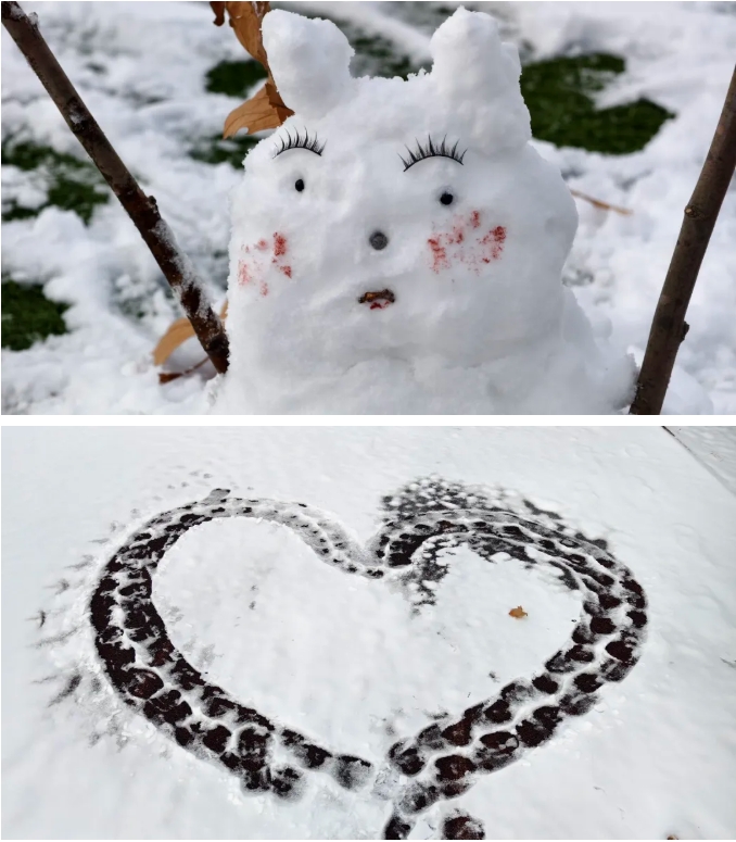 1768964761869193.png 臻美盐幼 当盐幼遇上初雪12.png