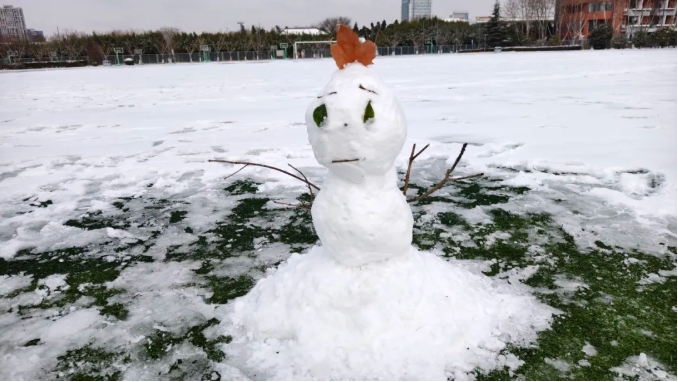 1768964770638254.png 臻美盐幼 当盐幼遇上初雪13.png