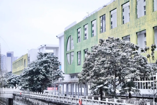 初雪治愈，静谧如画！常州工程学院披上冬日银装！8_副本.jpg
