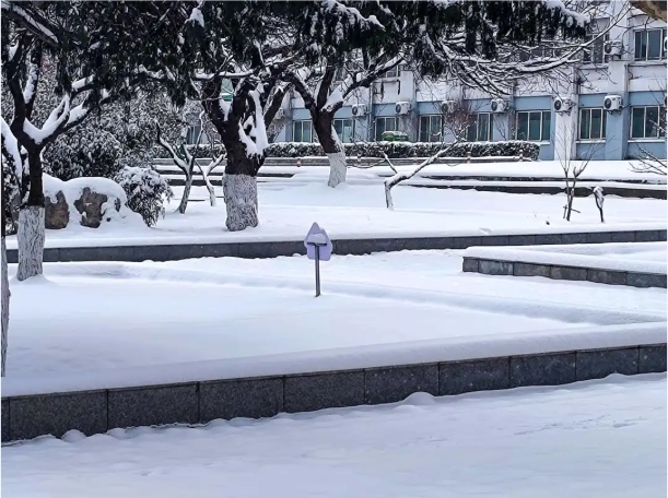 1768988471703569.png 速存!苏安院雪景大片已上线!7.png