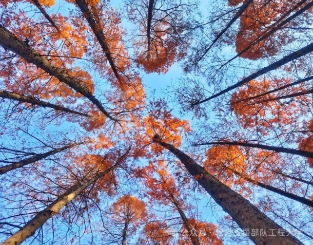 【镜】遇信息支援部队工程大学，带你领略军校里的春夏秋冬13.png