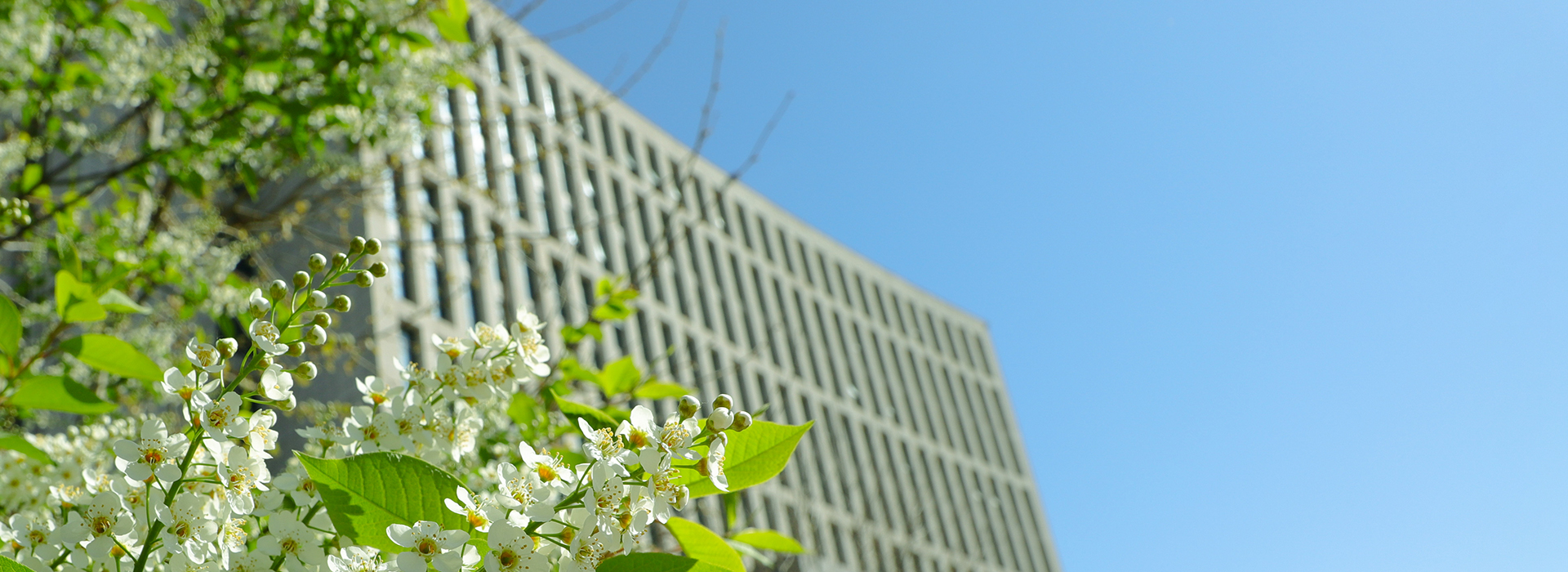 这所大学，将整建制搬迁！