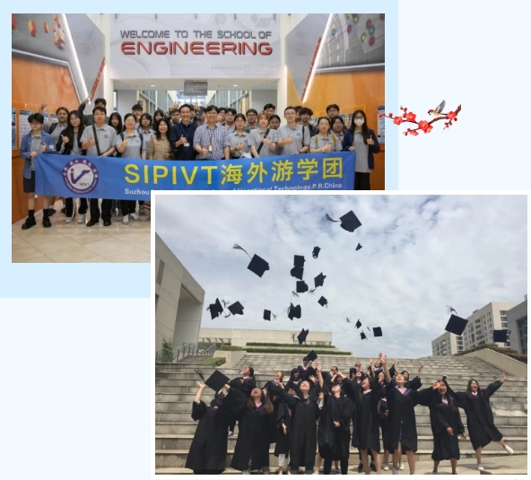 1772592881367282.png 报考IVT的四大理由2.png