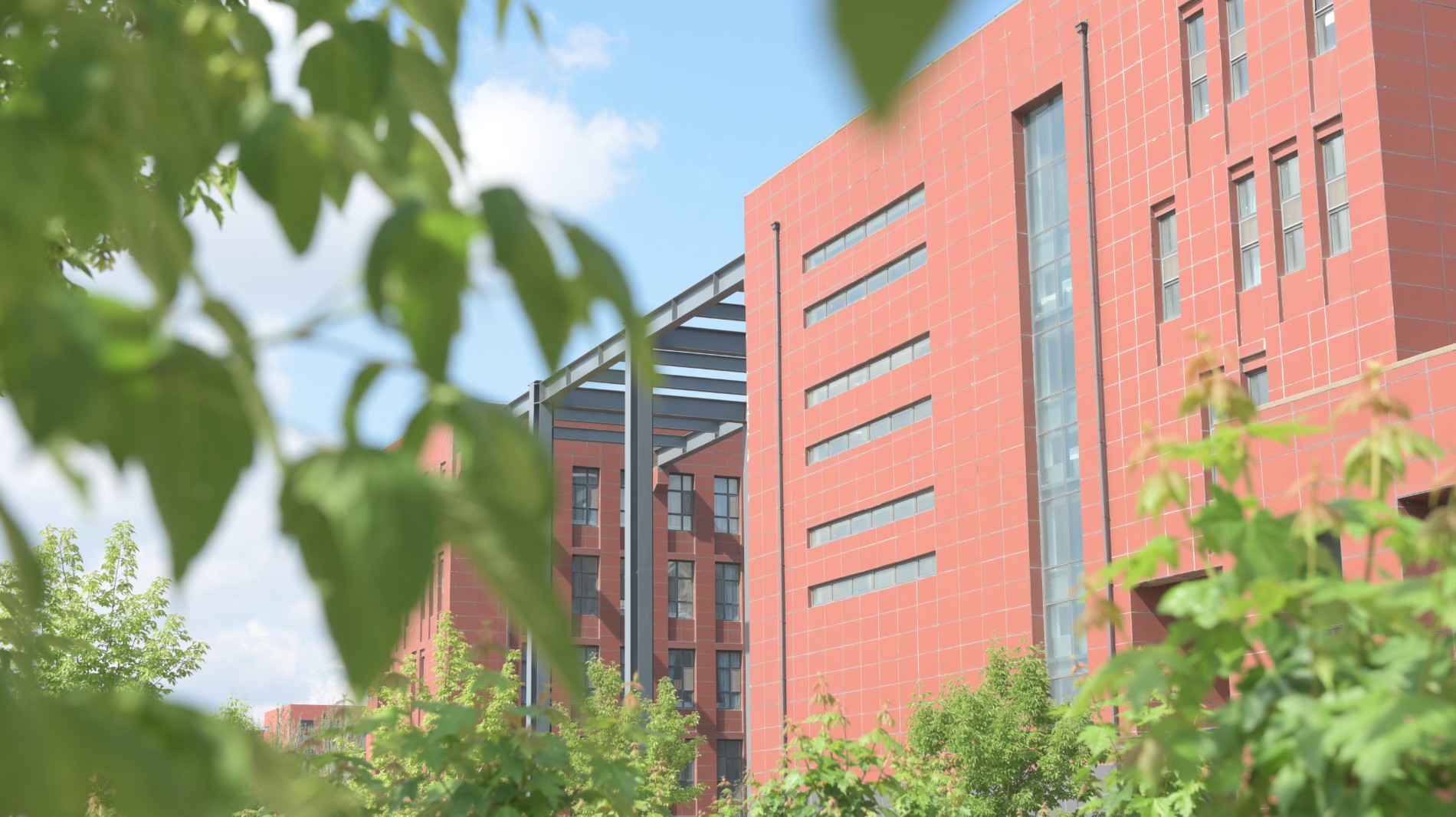 官方已公示：这所学校，拟更名！