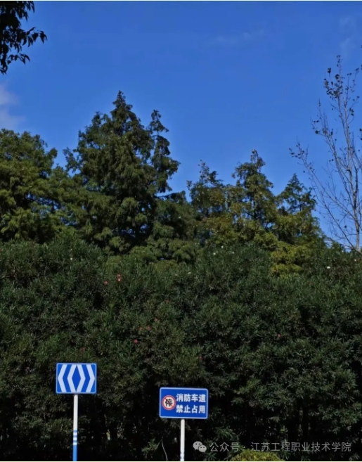 江苏工程职业技术学院：春日校园，藏着最美的限定温柔2.png