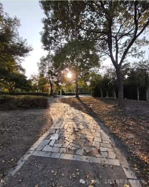 江苏工程职业技术学院：春日校园，藏着最美的限定温柔16.png