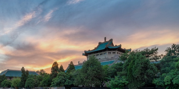 武汉大学2026年强基计划招生简章