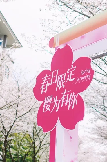 在无锡城市职业技术学院，拍到了春天的天花板！_副本.jpg
