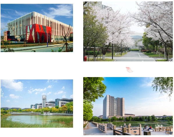 在无锡城市职业技术学院，拍到了春天的天花板！8.png