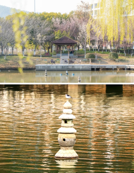 1775719020132119.png 春日苏工院 校园显眼包角落,藏着时光温柔小美好2.png