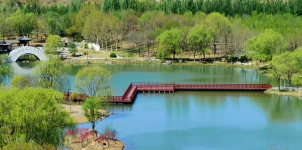 北京理工大学2026年强基计划招生简章