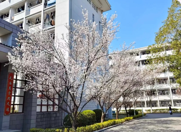 锡职大的&ldquo;春&rdquo;光，一半&ldquo;分&rdquo;给你！