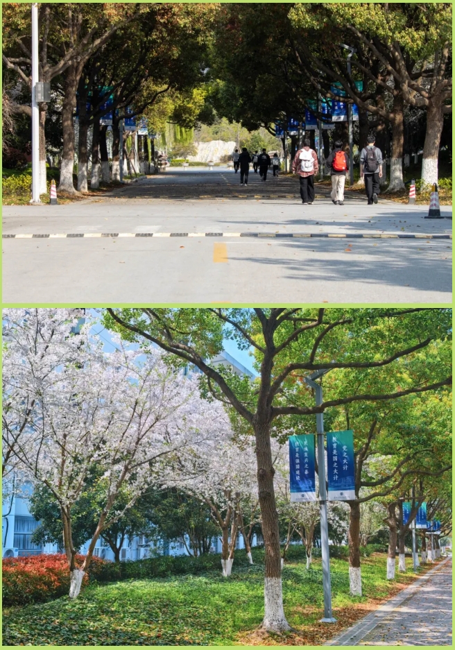 1776915626960616.png 苏工院一日vlog:解锁苏工院专属美好日常!.png