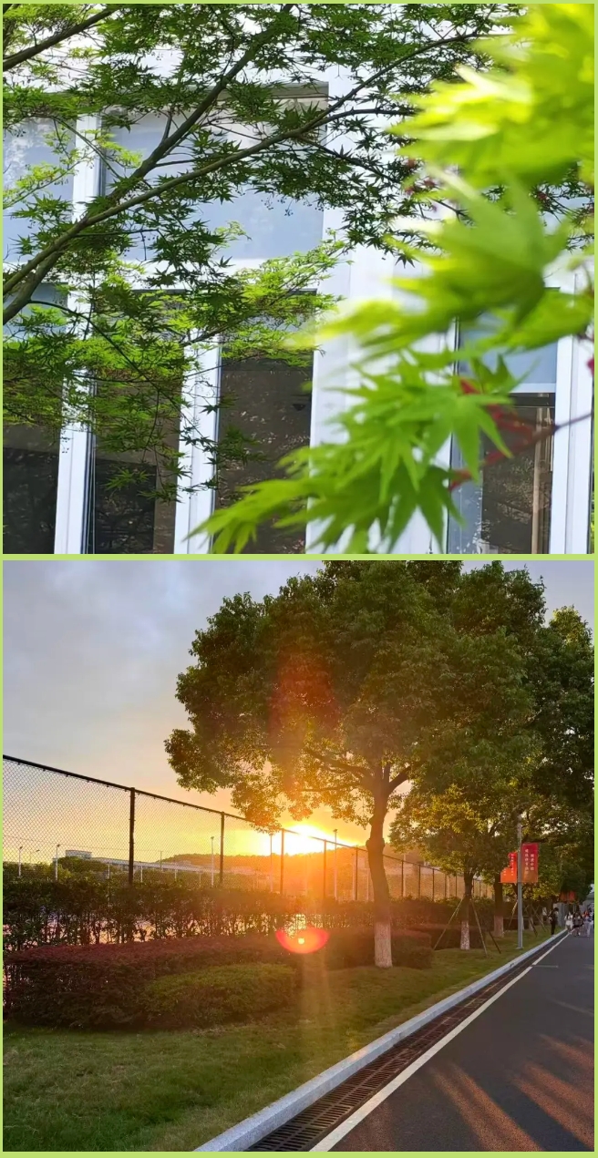 1776915870405081.png 苏工院一日vlog:解锁苏工院专属美好日常!12.png