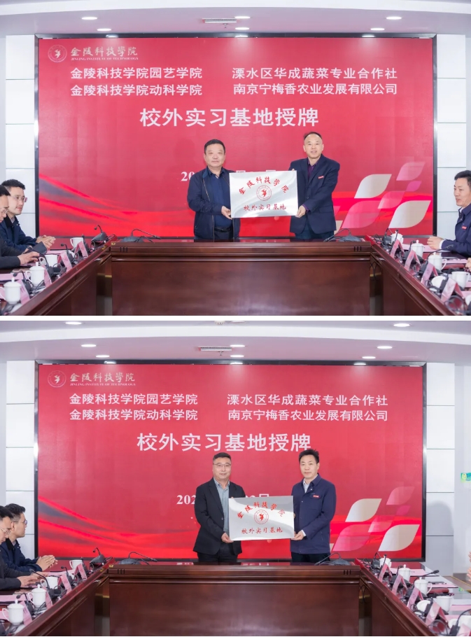 1776999067181049.png 双向奔赴!金科+溧水区人民政府,多项合作签约落地!5.png
