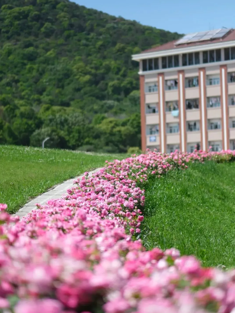 用几何打开无锡太湖学院4.png