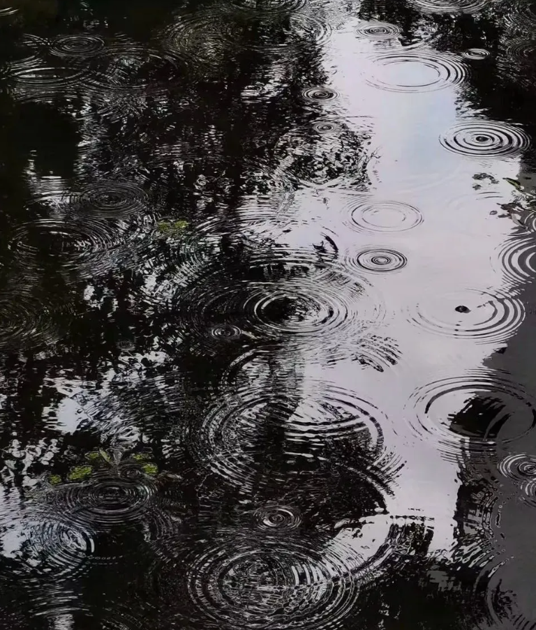 用几何打开无锡太湖学院5.png