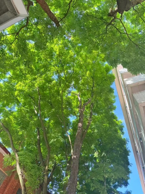 徐海夏日正在“夏”载中……4_副本.jpg
