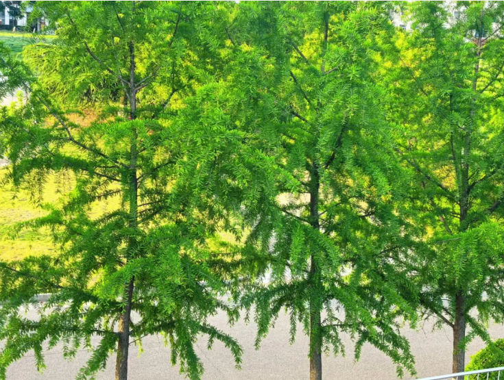 五月成贤：春夏交接的限时体验4.png