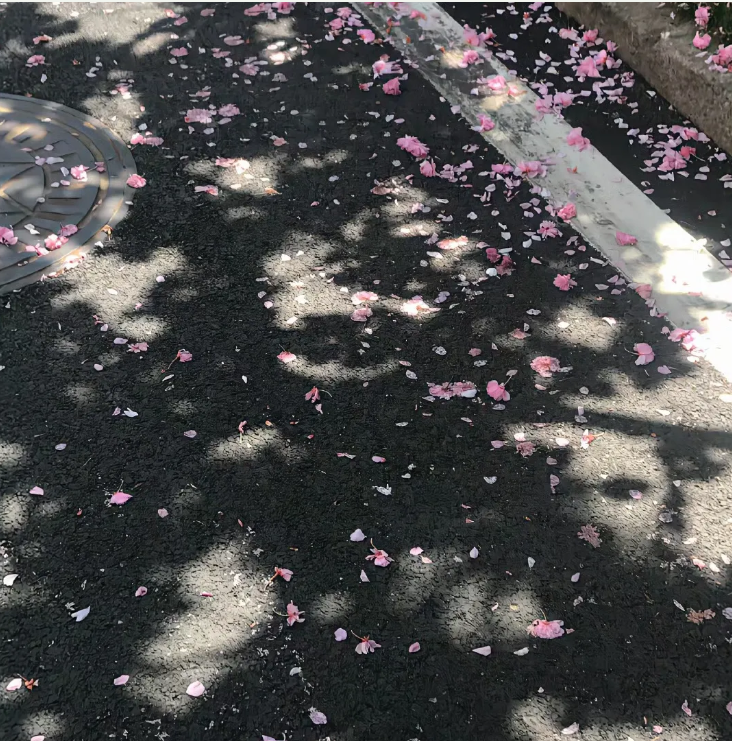 五月成贤：春夏交接的限时体验14.png