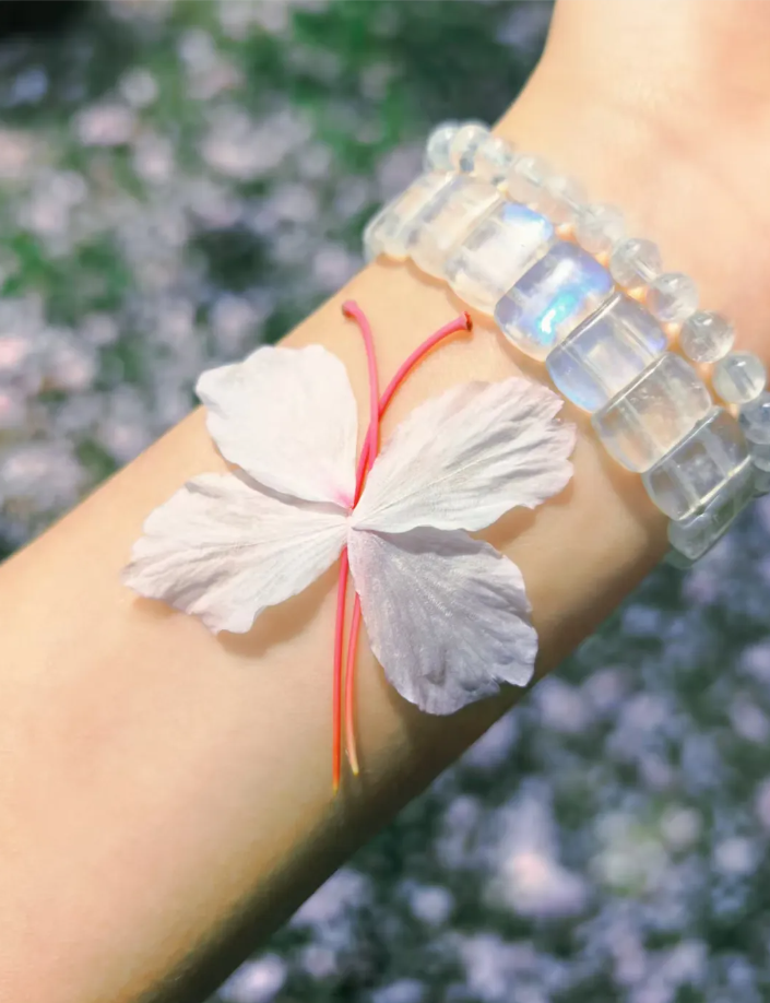 五月成贤：春夏交接的限时体验17.png