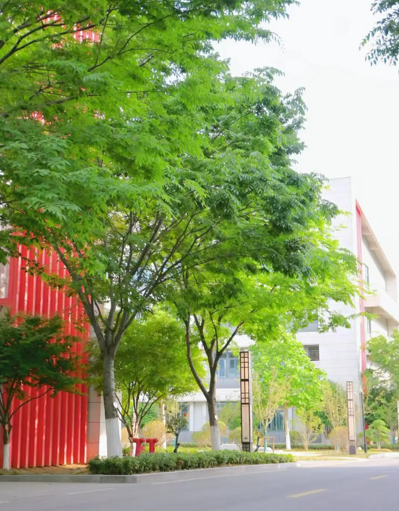 1779869119100384.png 走进南京机电:初夏校园的灵动瞬间与青春风景2.png