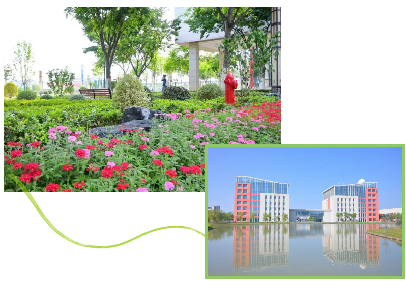 1779869128975672.png 走进南京机电:初夏校园的灵动瞬间与青春风景3.png
