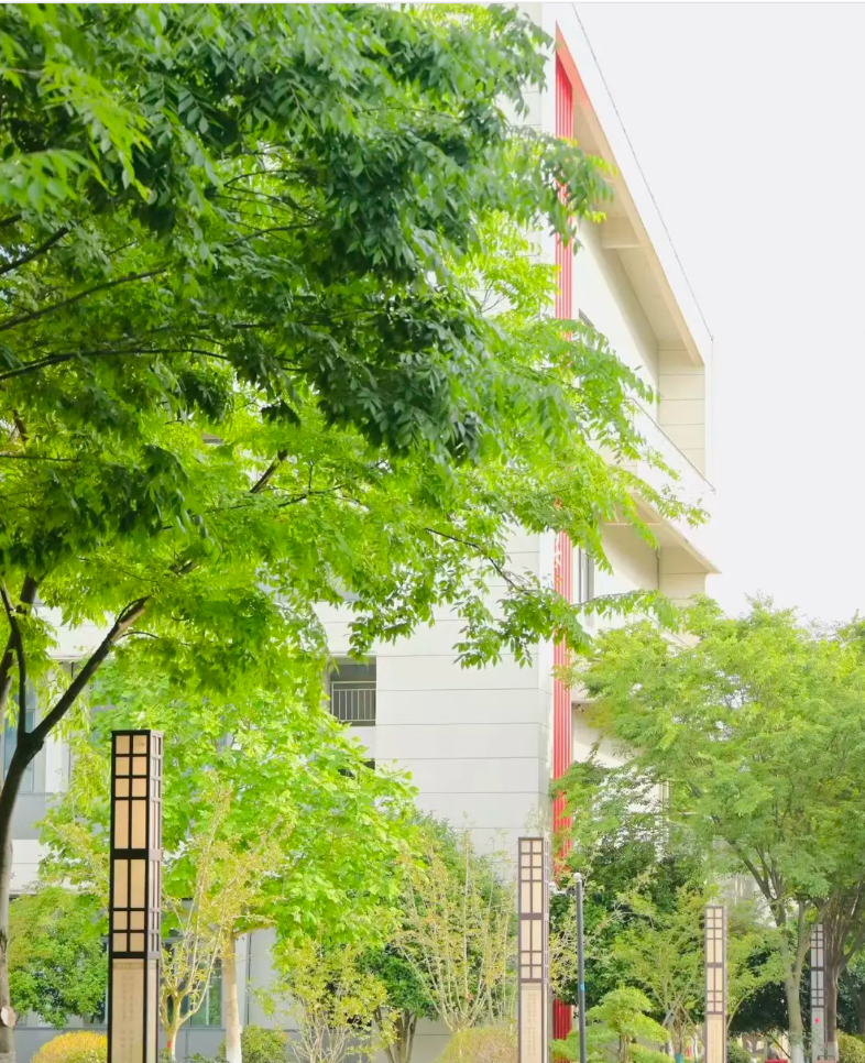 1779869179851811.png 走进南京机电:初夏校园的灵动瞬间与青春风景6.png