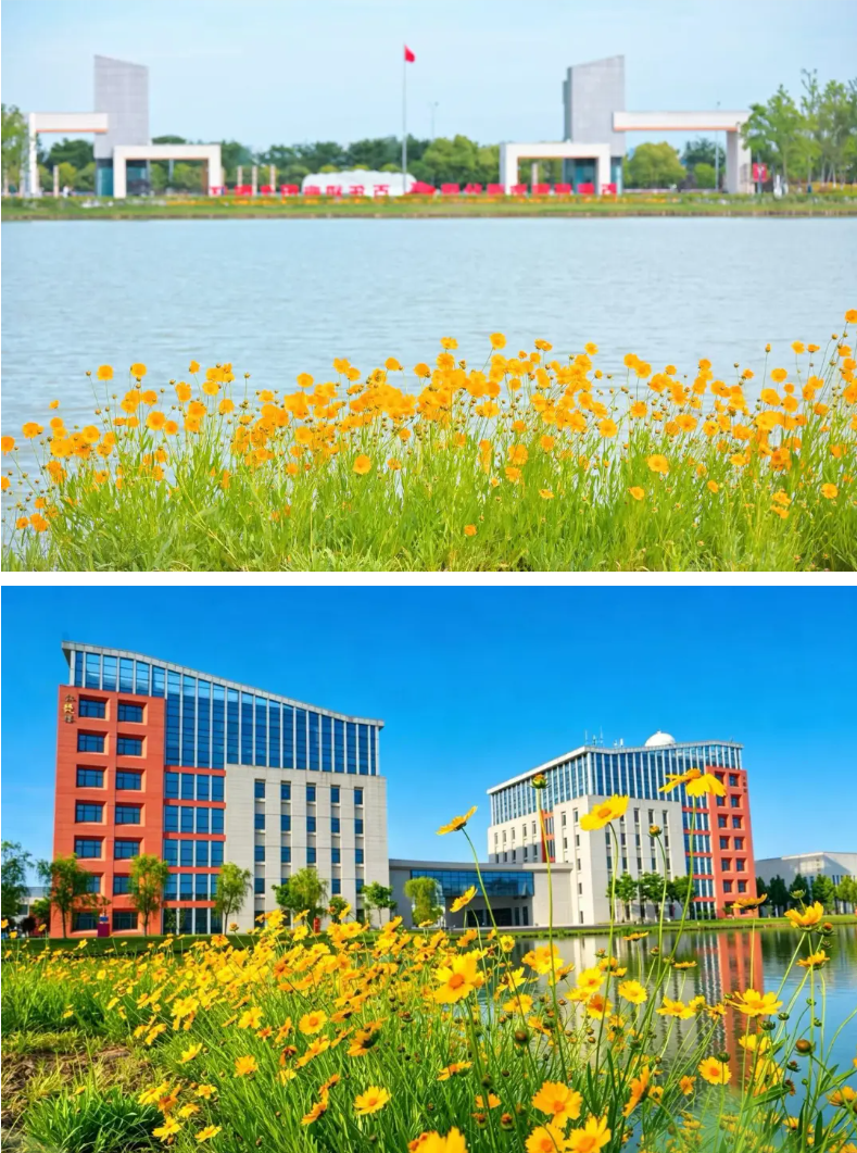 1779869216103030.png 走进南京机电:初夏校园的灵动瞬间与青春风景9.png