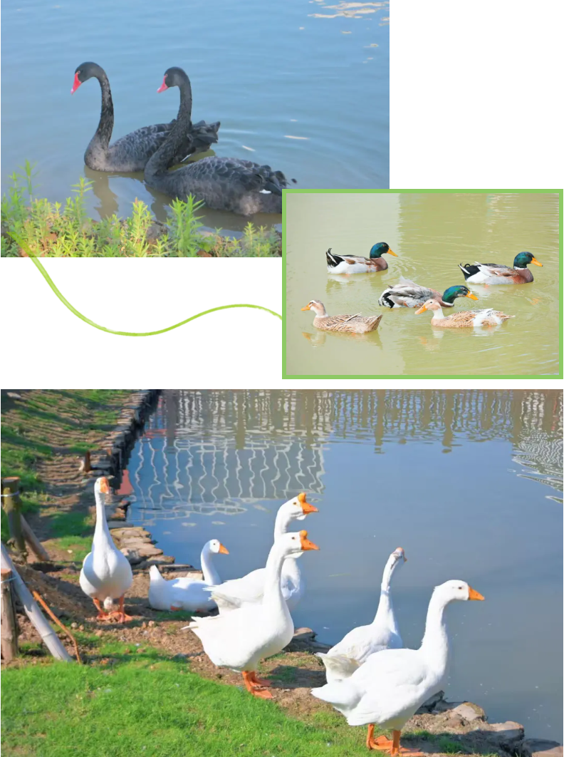 1779869227678468.png 走进南京机电:初夏校园的灵动瞬间与青春风景11.png