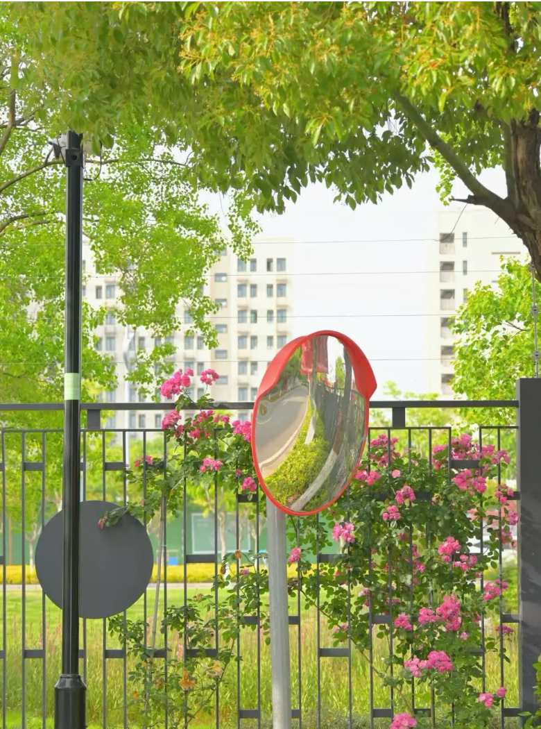 1779869341597007.png 走进南京机电:初夏校园的灵动瞬间与青春风景16.png