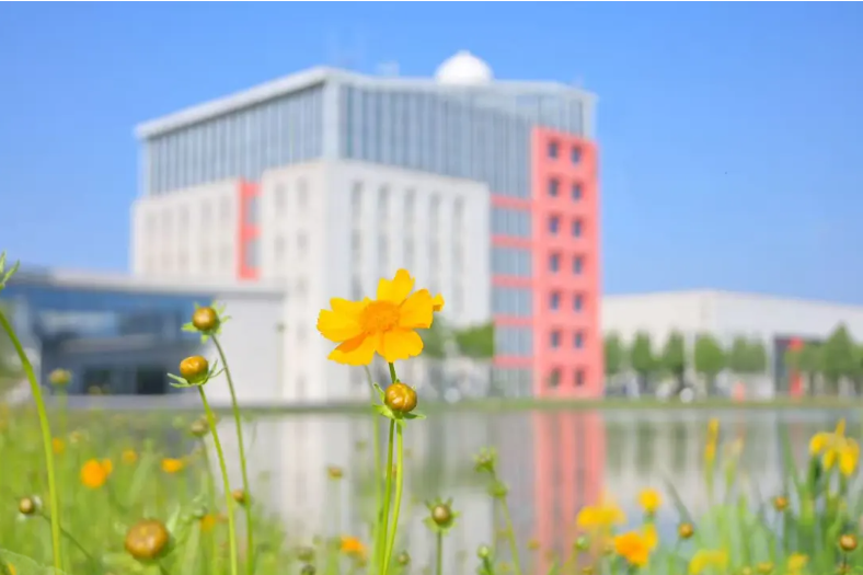 1779869410184510.png 走进南京机电:初夏校园的灵动瞬间与青春风景22.png