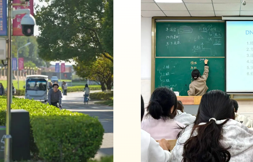 1780970290152096.png 遇见太湖的十二时辰3.png
