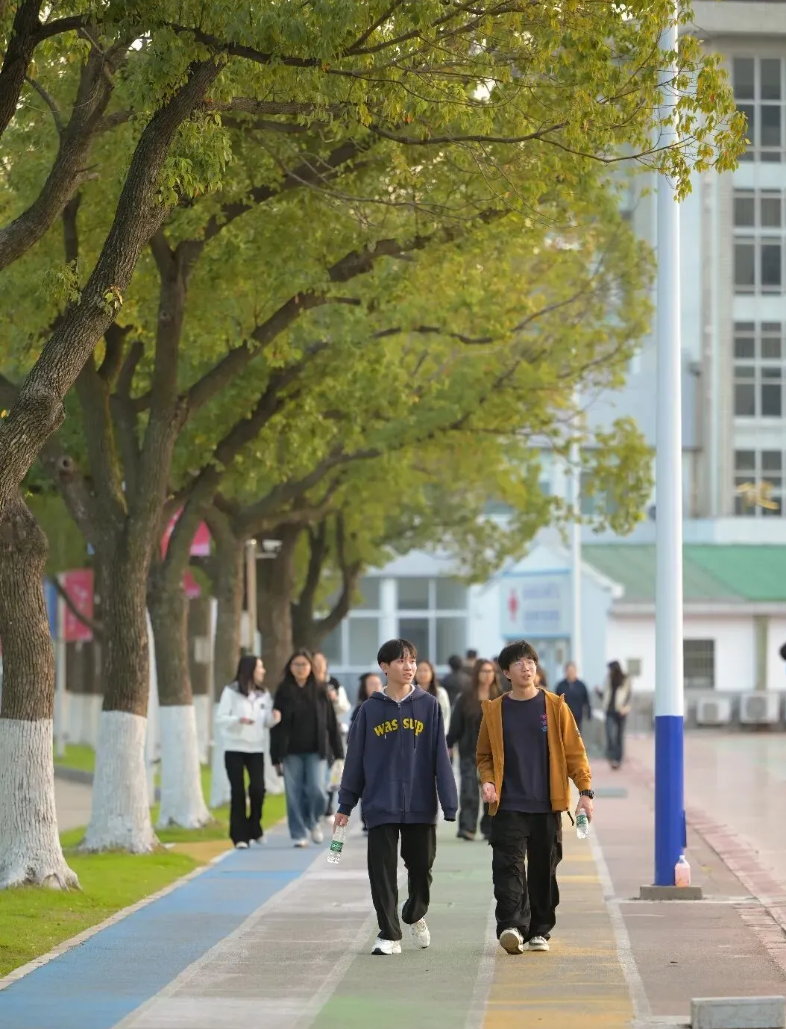 1780970313970509.png 遇见太湖的十二时辰4.png