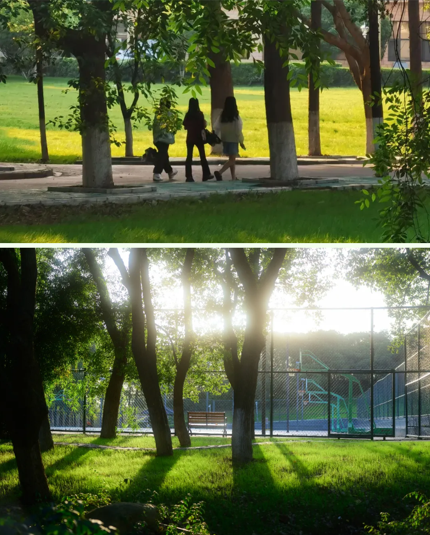 1781596999369875.png 无锡太湖学院:四季为页,书写属于我们的青春书卷5.png