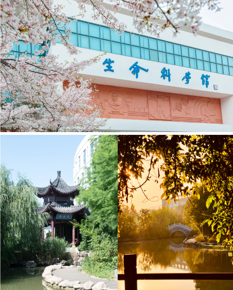 1781662594604807.png 想报考医药类本科?带你全面了解南京医科大学康达学院!21.png