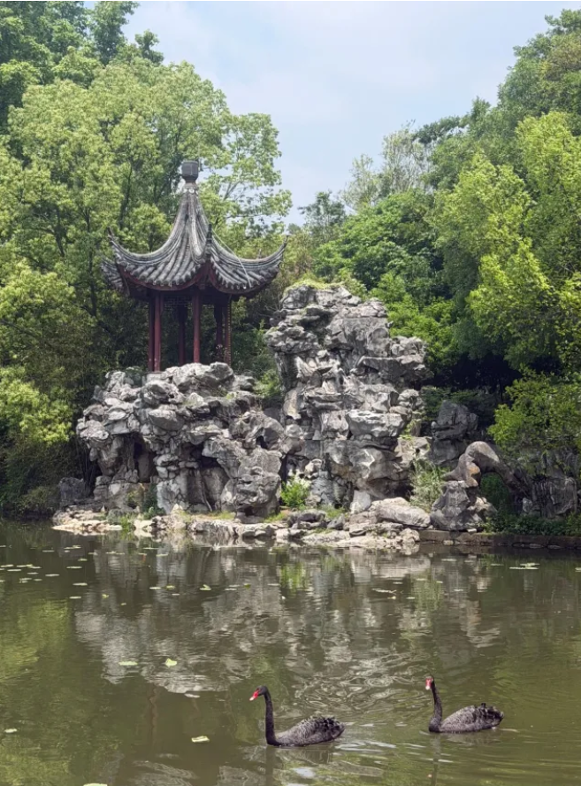 1784877940904739.png 2026年苏州旅游职业学院普通高考报考指南21.png